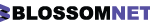 Blossomnet Solutions Limited